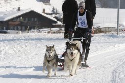 Lenk 2012 SM